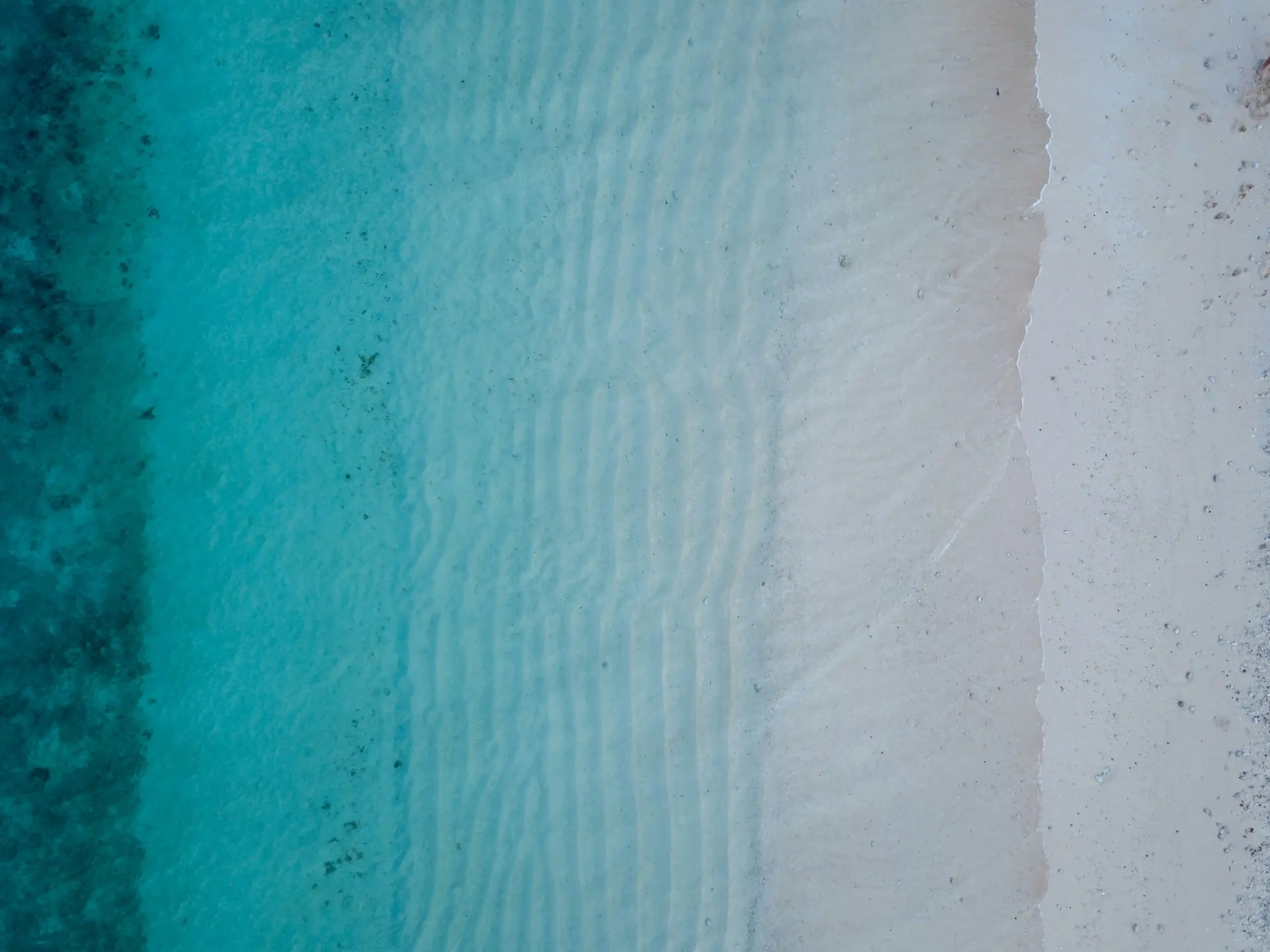 The color gradation variation of the adhesive