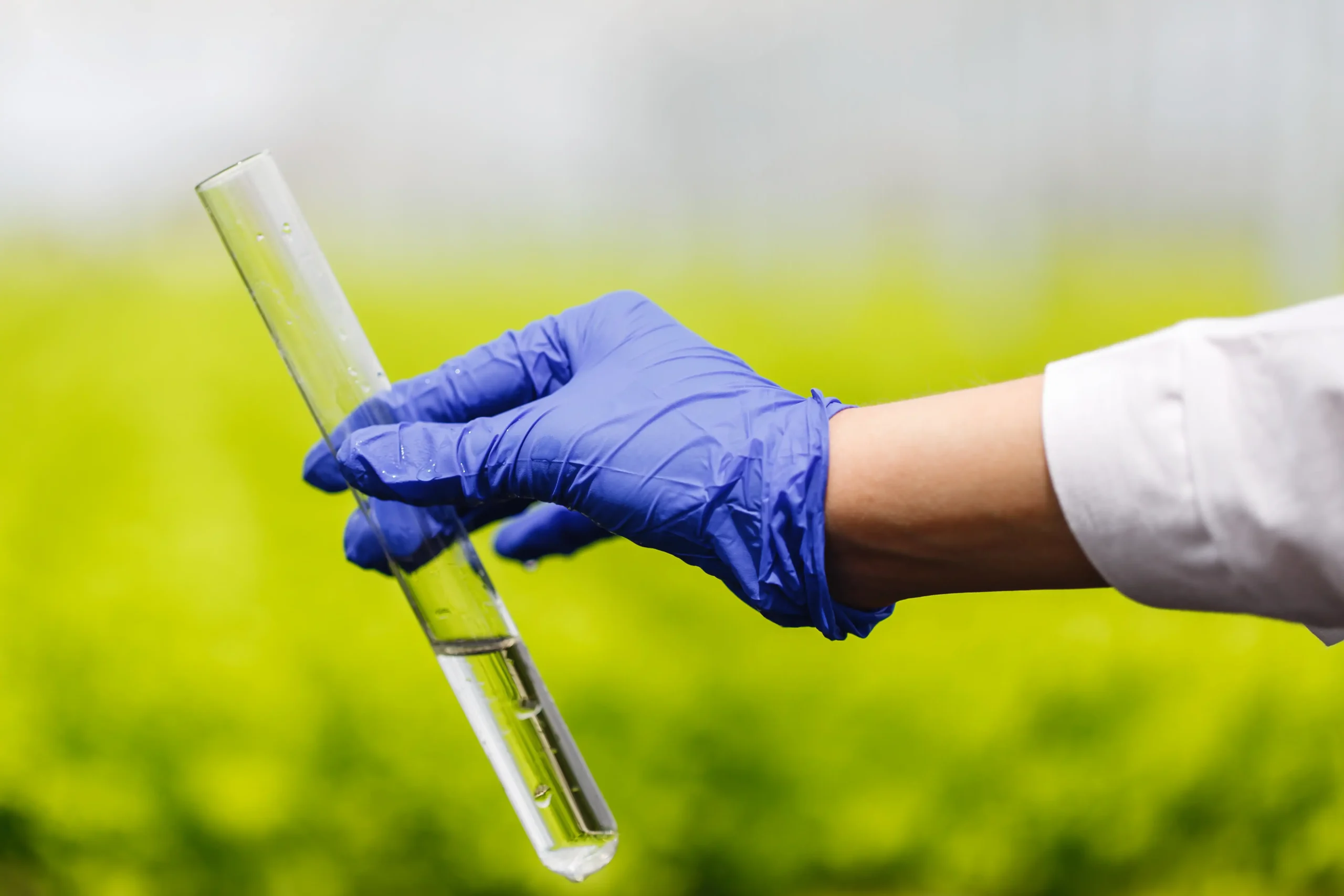 researcher holds test tube with water hand blue glove