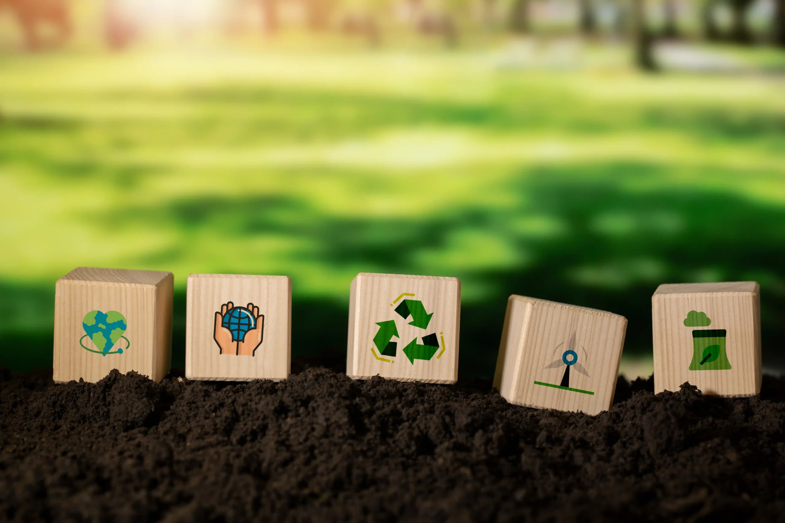 sustainable development goals still life
